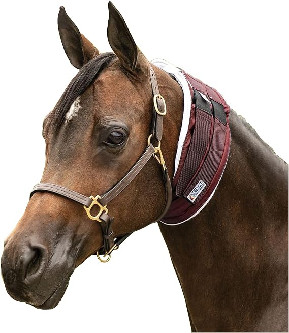 Dura-Tech Insulated Flannel ThroatWrap for Horses | Shapes & Maintains Clean Jowl & Throatlatch | Breathable Nylon Outer & Cotton Flannel Interior