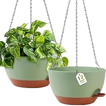 GARDIFE Hanging Planters for Indoor Outdoor Plants, 2 Pack Self Watering Hanging Pot with Drainage Holes &amp; Removable Tray (Green, 12 inch)