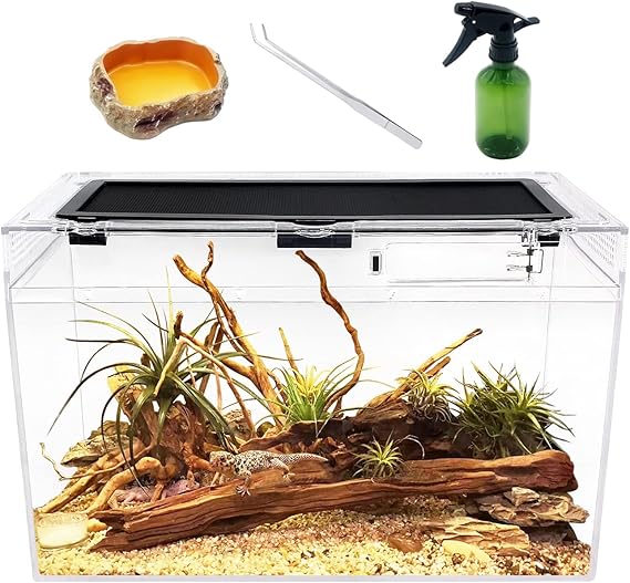 Reptile Terrarium,16" x 8"x 10" Reptile Tank with Full View Visually Appealing,for Insect,Fish,Tarantula,Hermit Crab,Jumping Spider,Iguana,Tortoise,Leopard Gecko,Frog,Bearded Dragon