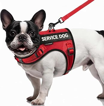 FAYOGOO Service Dog Vest for Small Dogs - Breathable Air Mesh Service Dog Harness with Leash & 6 Patches, Adjustable No-Choke Design for Walking, Travel & Public Access