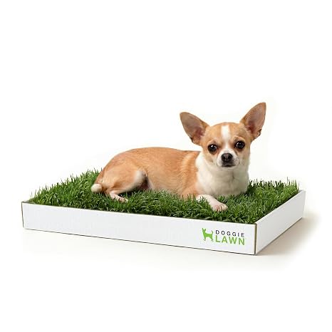 DoggieLawn Real Grass Dog Pee Pads - Mini Dog Potty Pad 24x9