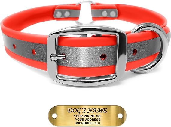 Regal Dog Products Medium Orange Reflective Dog Collar with Custom Engraved Name Plate and Heavy Duty Center Ring | Waterproof Biothane Personalized Dog Collars - Other Sizes for Small & Large Dogs