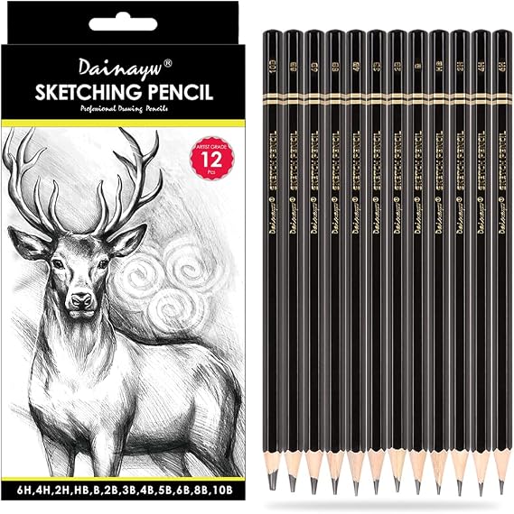 Professional Drawing Sketching Pencil Set, 12 Pieces Art Pencils 10B, 8B, 6B, 5B, 4B, 3B, 2B, B, HB, 2H, 4H, 6H Graphite Shading Pencils for Beginners & Pro Artists