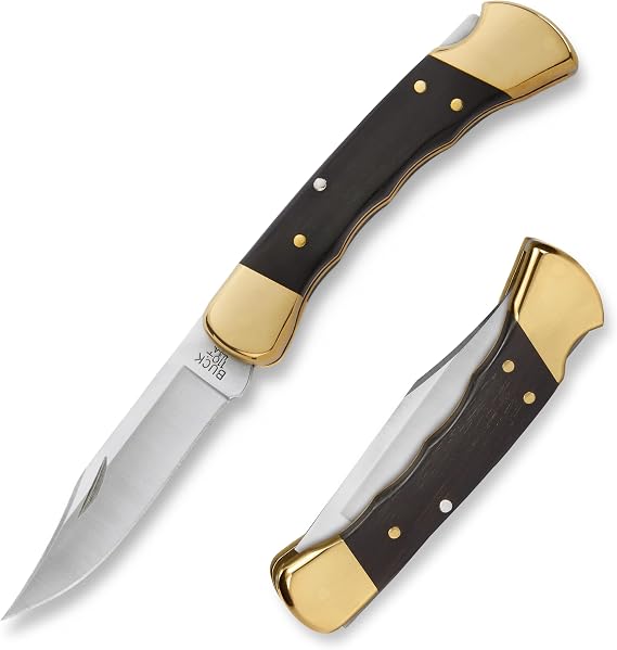 BUCK Folding Hunter 110FG BK-3