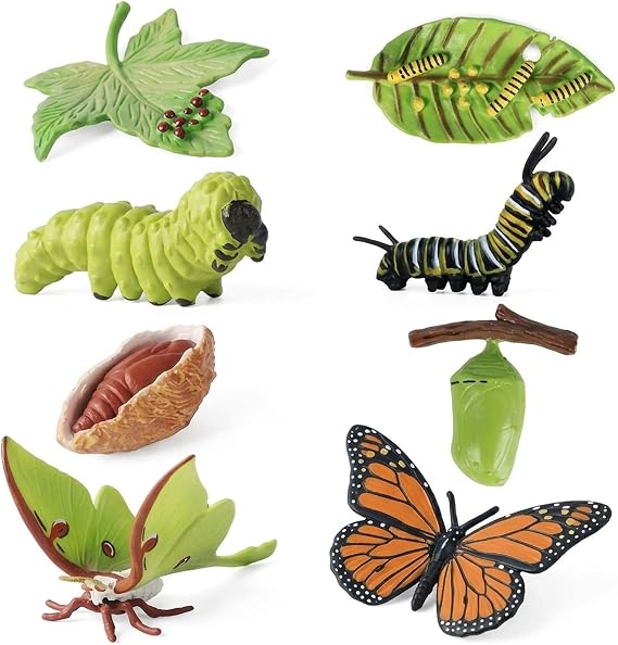 8Pcs Butterfly Growing Kit with Caterpillars, Educational Insect Life Cycle Set, Realistic Butterfly Kit, Luna Moth and Butterfly Growth Stages, Teaching Resources for Science Learning