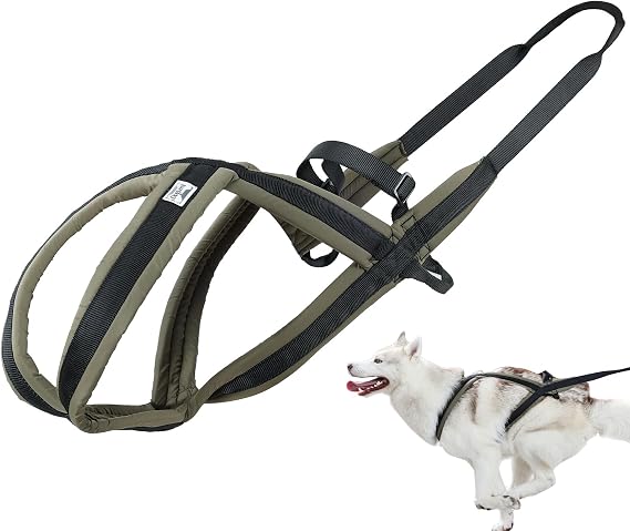 ETIAL Dog Weight Pulling Harness, Waterproof Dog Sled Harness with Adjustable Strap for Dog Exercise, Bikejoring, Skijoring, Dog Sledding, Canicross, Dog Running Harness for Medium, Large Dog (M)