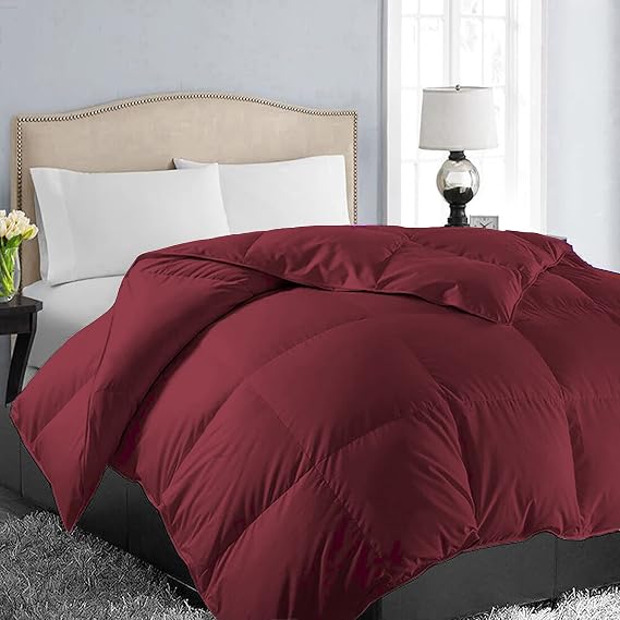 EASELAND Queen Size Down Alternative Comforter - Quilted Duvet Insert for All Seasons, Soft Lightweight with Corner Tabs, Summer Winter Warm Bedding, Burgundy 8888 Inches