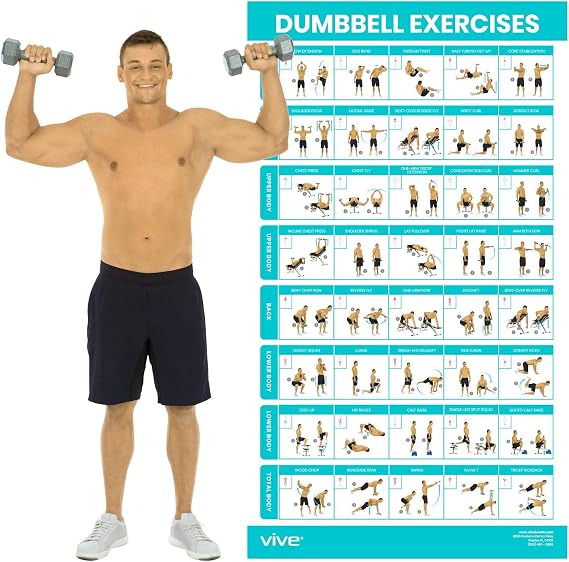 Vive Dumbbell Workout Poster - Home Gym Exercise for Upper, Lower, Full | Body - Laminated Bodyweight Chart for Back, Arm, Core and Legs - Free Weight Building Guide For Men, Women, Elderly (30" x