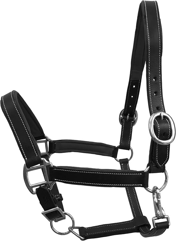 Leather Halter with Color Padded Crown and Nose with Steel Plated Iron Hardware