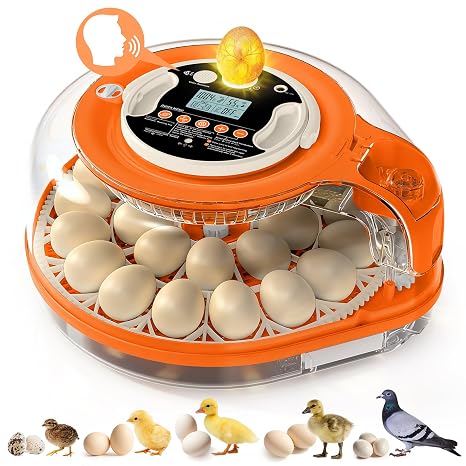 26-Egg Incubators for Hatching Eggs, Auto Turning, Temp & Humidity Control