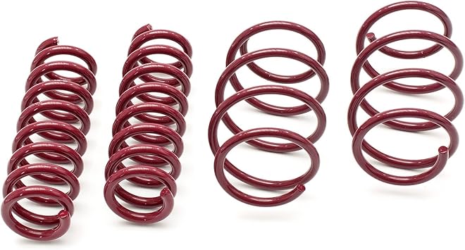VOGTLAND 953129 Lowering Spring