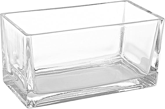 MyGift 7.8 Inch Modern Rectangular Glass Vase Trough Planter Terrarium | Clear Display Design, Tabletop Floral Centerpiece, Succulent Showcase, Indoor Gardening, Contemporary Accent, Versatile Decor