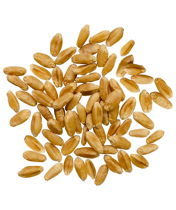 Palouse Brand Certified Glyphosate Residue Free Hard Red Spring Wheat Berries | 18 LBS | Non-GMO Project Verified | Kosher