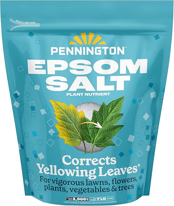 Pennington 397606 Epsom Salt Plant Nutrient, 7 lb