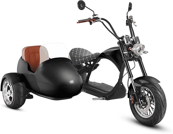 eAhora M1P Sidecar with Electric Motorcycle for Adult, 2000W Motor 37mph, 30Ah Removable Lithium Battery, 40+ Mile Range, Full Suspension and Hydraulic Brakes, 2 People Ride (Black)