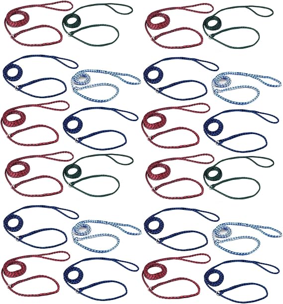 Bulk Pack Strong Dog Control Slip Lead Leashes Assorted Color Vet Rescue Kennel Choose Quantity (24 Leads)