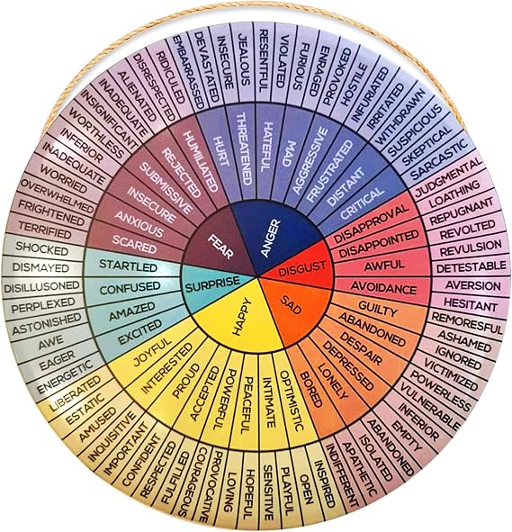 NADOBA Feelings Wheel Poster, Waterproof Tin Metal Sign, Pre-Drilled Holes