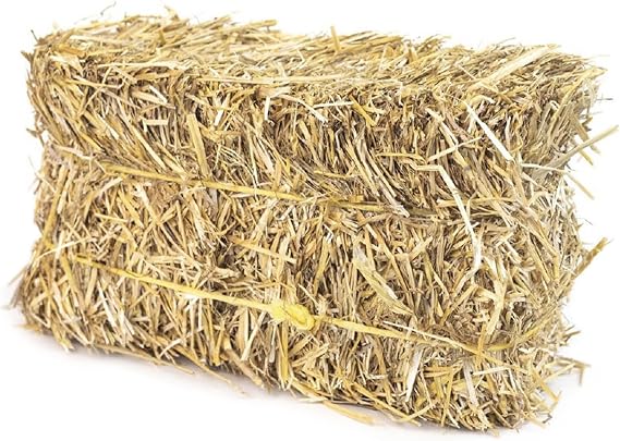 Firewood Central Mini Straw Bale 100% Natural Wheat Straw (12 x 4.5 x 6.5) 2lb Ideal for Gardening, Pet Bedding, Grass Seeding & Rustic Decor by Morning View Acres
