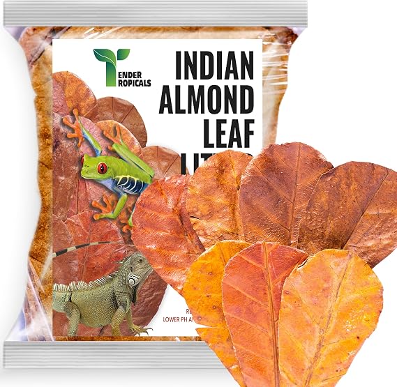 Frog Tank Accessories 100 Pcs 3" Indian Almond Catappa Leaves, Natural Leaf Litter for Tree Frogs, Bioactive Terrarium Accessories, Amphibian Habitat Decor