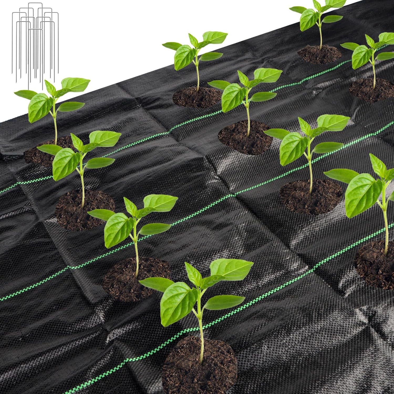 33 x 3.3 Ft Weed Barrier Landscape Fabric, Garden Weed Barrier Fabric Heavy Duty with Planting Holes, Ground Cover Weed Barrier Weed Cloth with 10 U-Shaped Ground Nail For Garden Weed Control