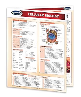 Cellular Biology Guide - 4-Page 8.5 x 11 Academic and Biology Quick Reference Guide by Permacharts