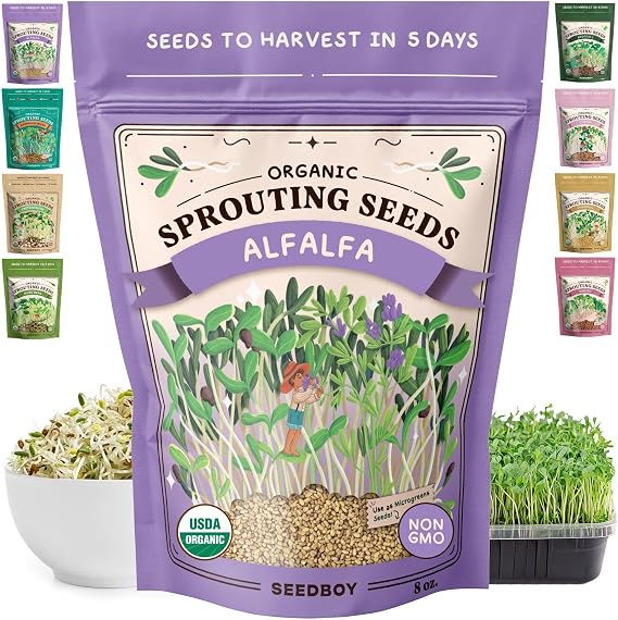 Seedboy Organic Non-GMO Alfalfa Seeds for Sprouting - Microgreens Sprouting Seeds - 8 oz Bag Makes 8 Quarts  32 Servings Alfalfa