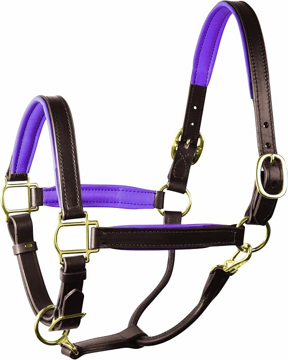 Perri's Horse Soft Padded Leather Halter
