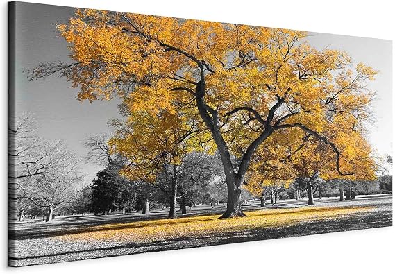 murando Wall Picture Mega L Tree 250 x 125 cm One Piece XXL Format Art Print for Self-Assembly Canvas Pictures Modern Pictures DIY Wall Decoration Home Decoration Landscape c-B-0445-ak-g Hochwertige Leinwand sofort aufhängbar ideal fürs Wohn- oder Schlafzimmer wasserfest und lichtecht langlebig stilvoll