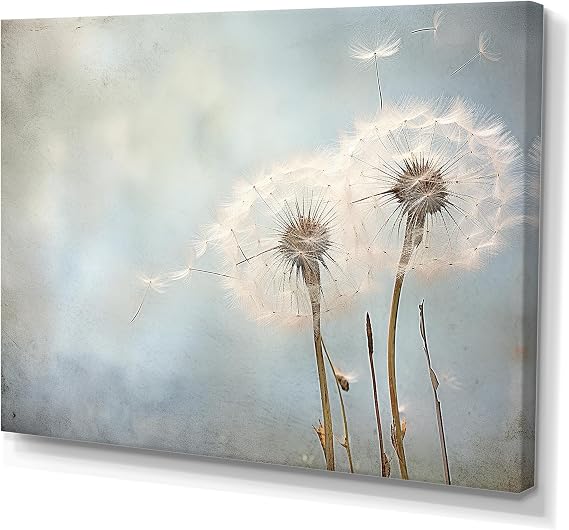 DesignQ Dandelion Wall art decor, Dandelion Wall Art, Dandelion Still Life In White Farmhouse, White Canvas wall art, 20x12 inches