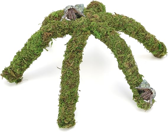 USMOLA 12 Inch Hermit Crab Climbing Toys for Tank, Fake Moss Hermit Crab Habitat Tank Accessories, Pet Snail Climbing Toys, Ideal Snail Terrarium Accessories (Natural Green, 12 Inch)