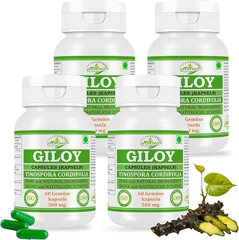 Giloy (Guduchi) Capsules 500 mg - 60 Vegan Capsules High Dose Tinospora Cordifolio Extract (10:1) Ayurvedic Dietary Supplement for Men & Women (4 Bottles of 60 Capsules)