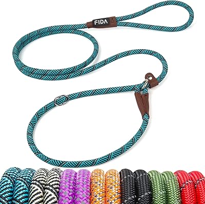 Fida Durable Slip Lead Dog Leash, 6 FT x 38 Heavy Duty Comfortable Strong Rope Slip Lead for Small Dogs and Puppies, No Pull Pet Training Lead with Highly Reflective38, Blue