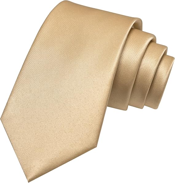 JEMYGINS Solid Color Tie Mens Necktie for Business and Wedding