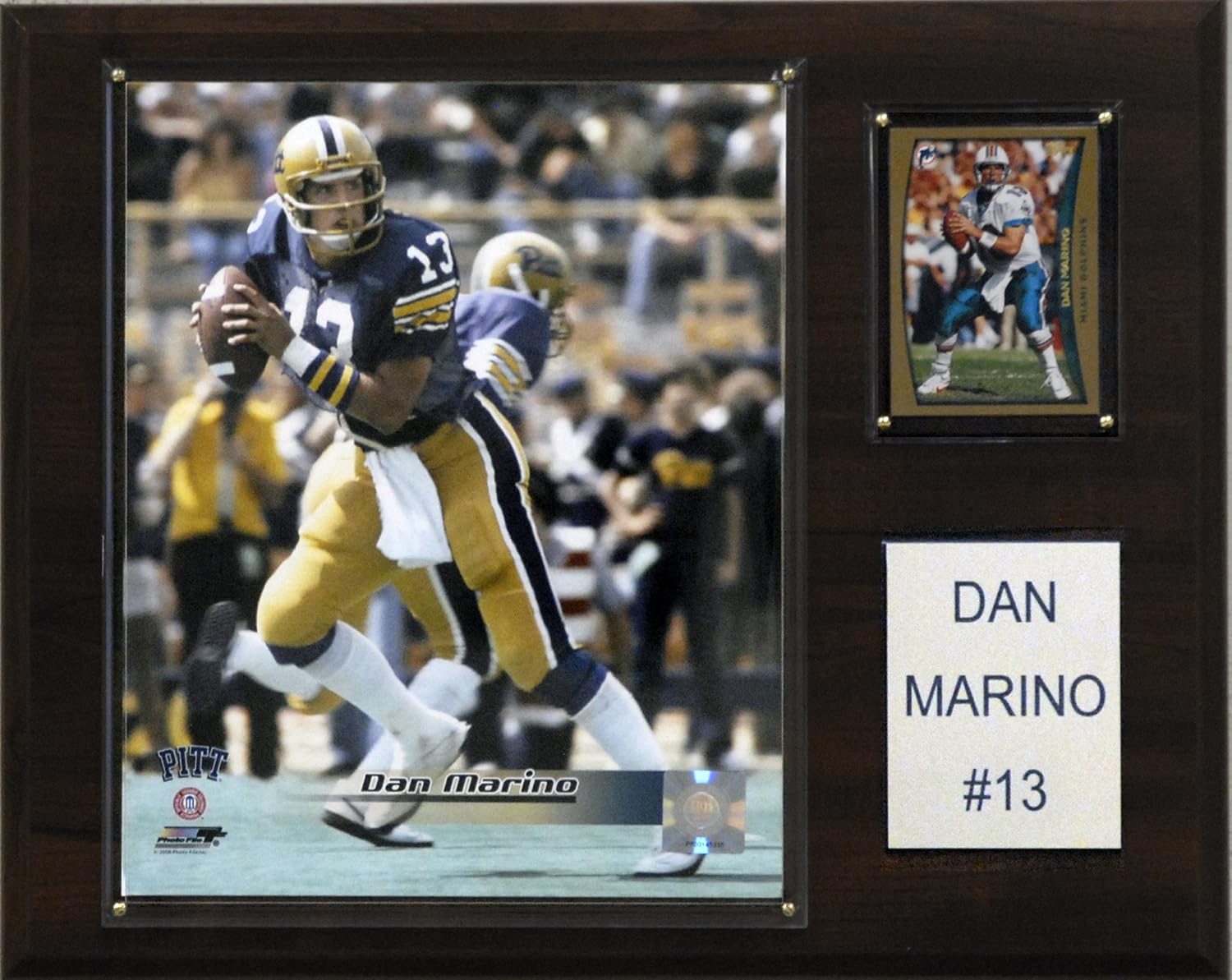 NCAA Football Dan Marino Pittsburgh Panthers Player Plaque